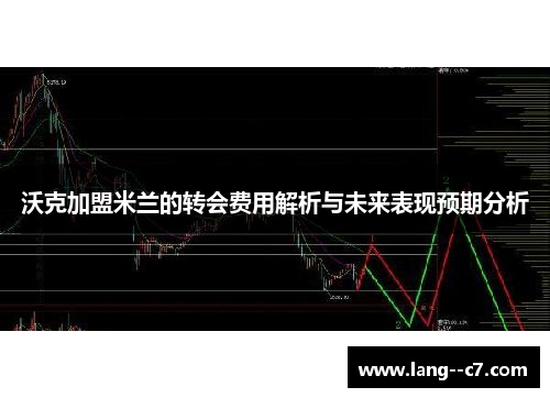 沃克加盟米兰的转会费用解析与未来表现预期分析
