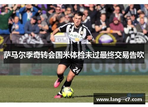 萨马尔季奇转会国米体检未过最终交易告吹